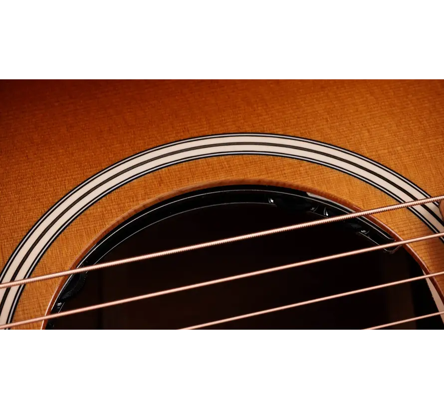 Taylor Ben Harper Gold Label 512e Special Edition