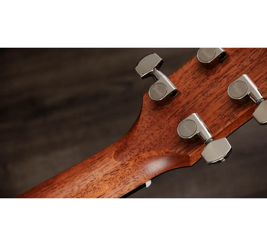 Taylor Gold Label 510e