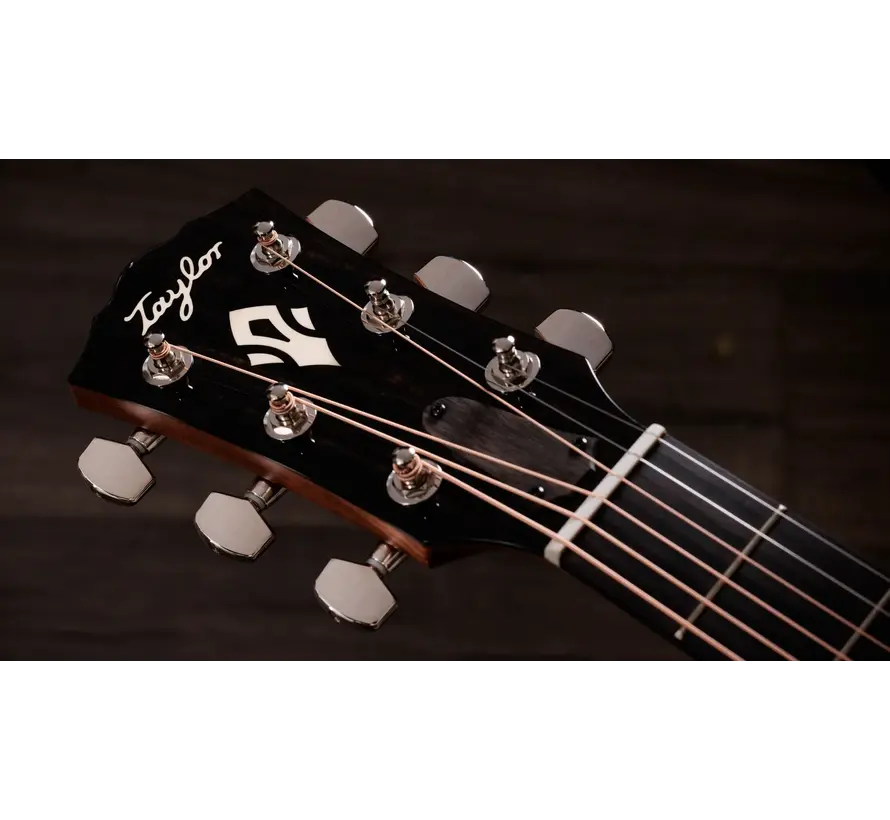 Taylor Gold Label 510e