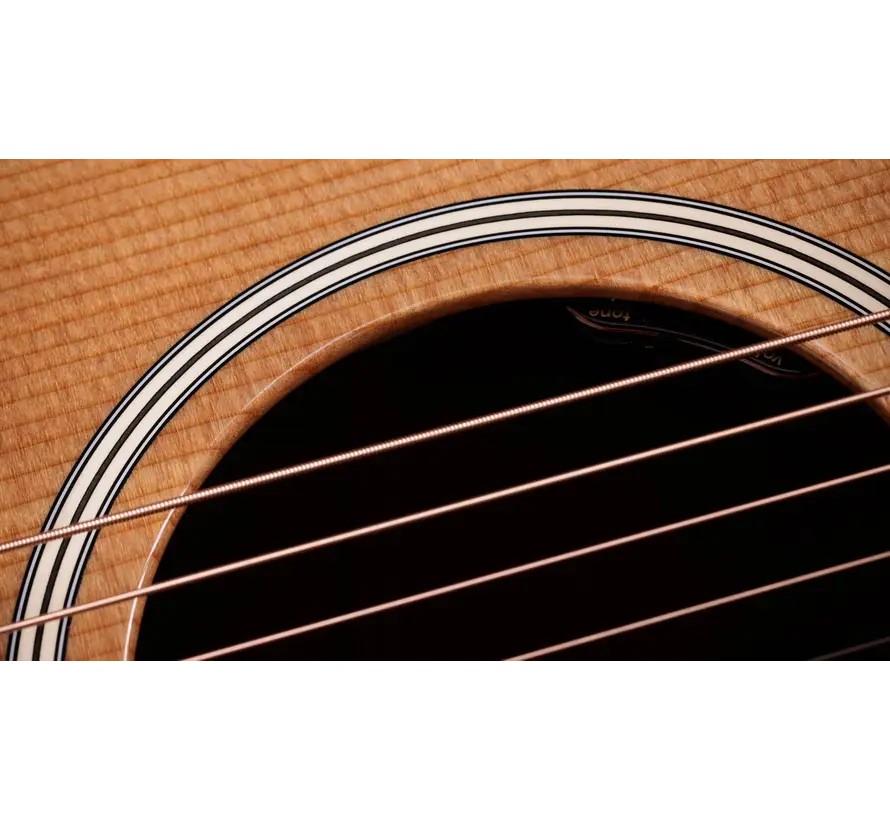 Taylor Gold Label 510e