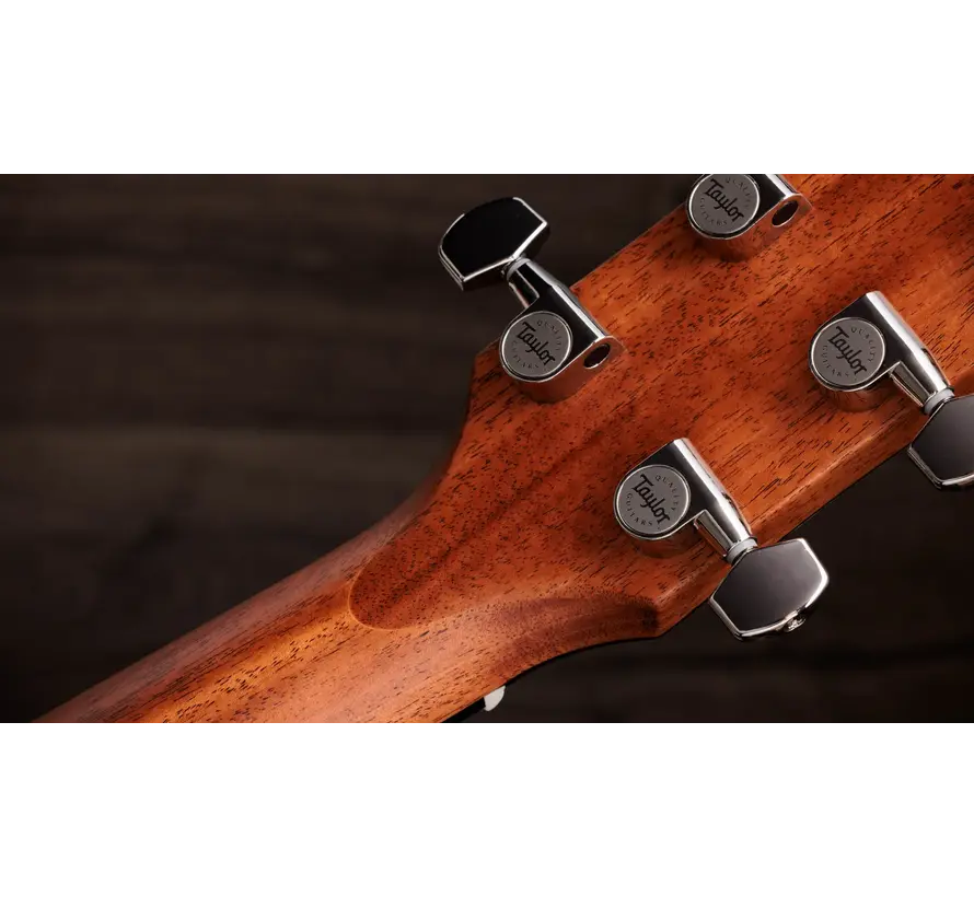 Taylor Gold Label 710e