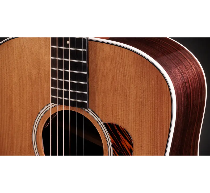 Taylor Gold Label 710e