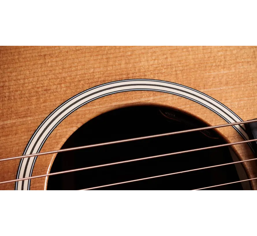 Taylor Gold Label 710e