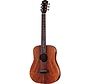 Taylor Bt-Koa