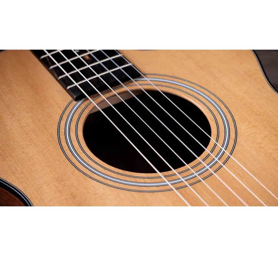 Taylor 112ce -N