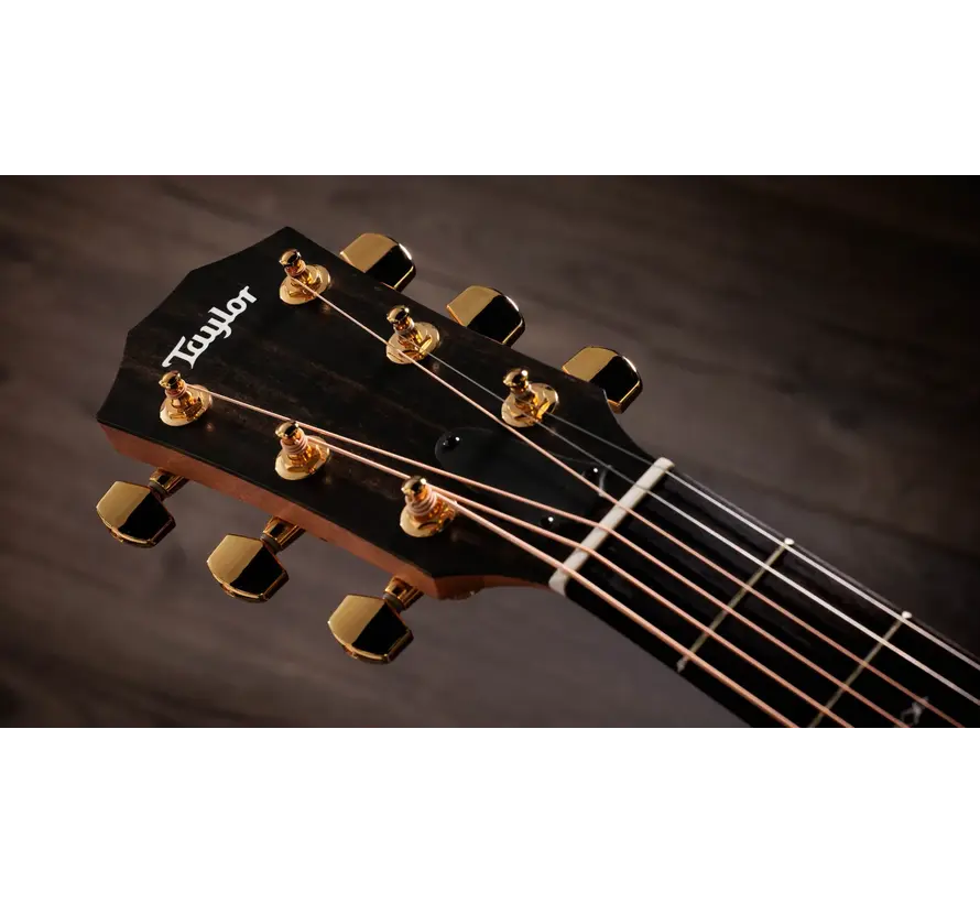 Taylor Sunset Blvd 214ce DLX SEB