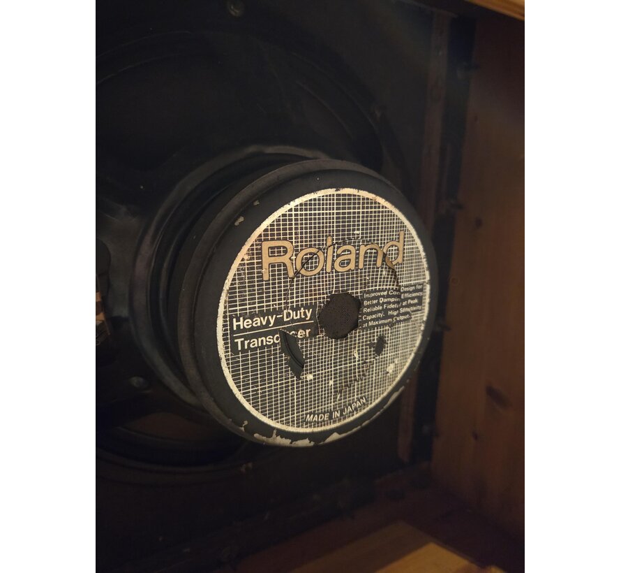 Roland Jazz Chorus JC120 | Tweedehands