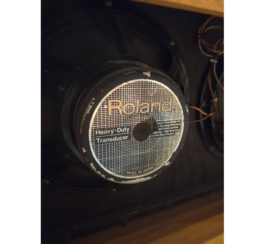 Roland Jazz Chorus JC120 | Tweedehands