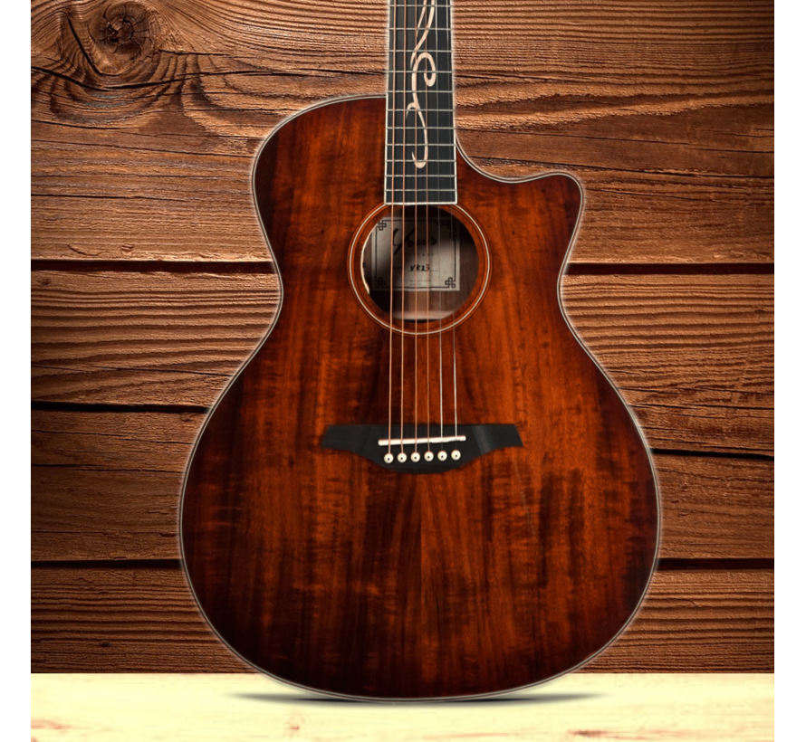 You's Guitars | VK23E