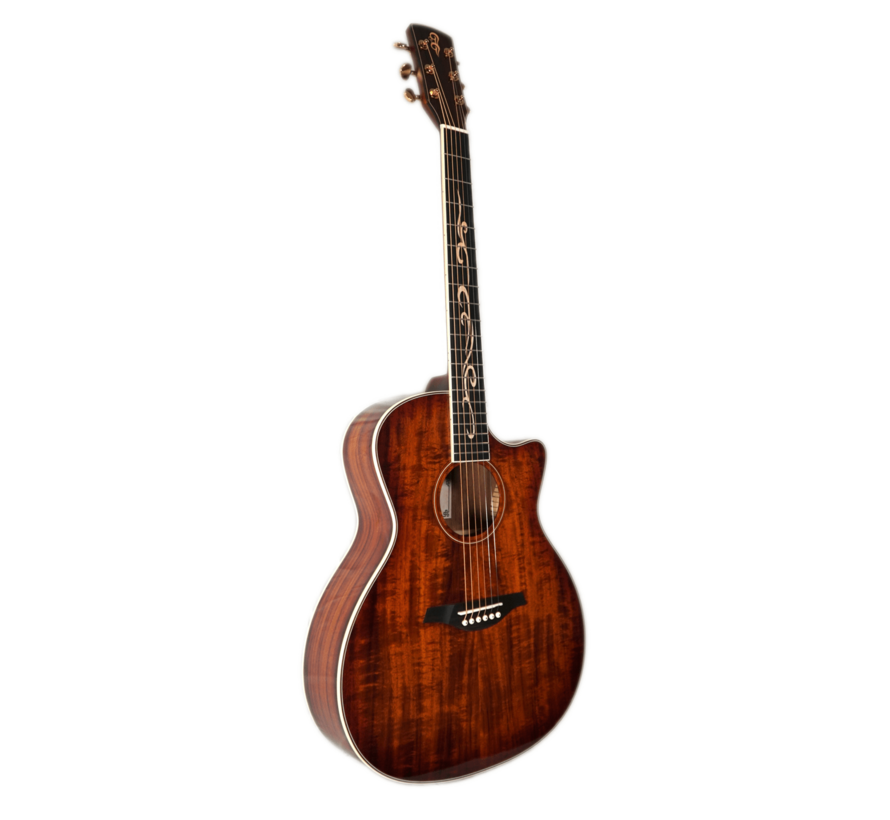 You's Guitars | VK23E