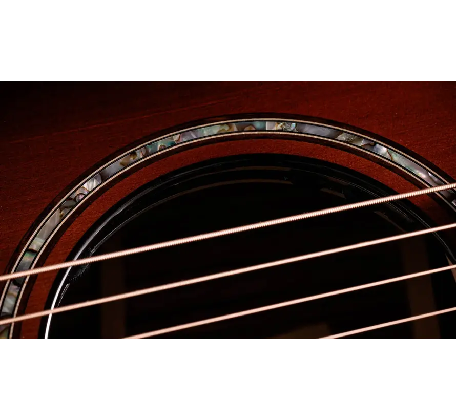 Taylor 814ce Next Generation Builder's Edition | Honduran Rosewood/Sinker Redwood