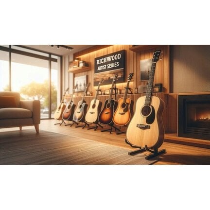 Beste Beginnersgitaar Richwood Master Series