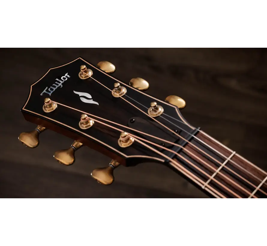 Taylor 814ce Builders Edition Next Generation