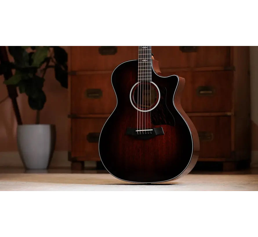 Taylor 324ce Next Geneartion