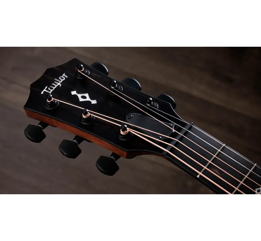 Taylor 324ce Next Geneartion