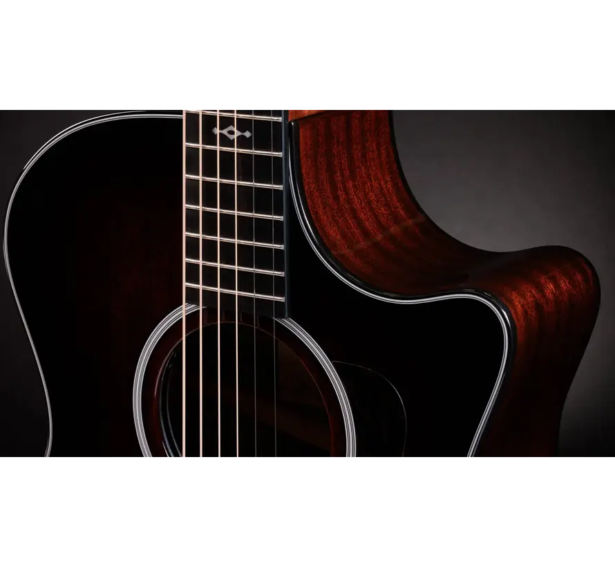 Taylor 324ce Next Geneartion