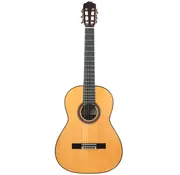 Bautista Bautista Iranzo |  5 Flamenca Negra