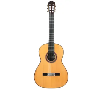 Bautista Bautista Iranzo |  5 Flamenca Negra