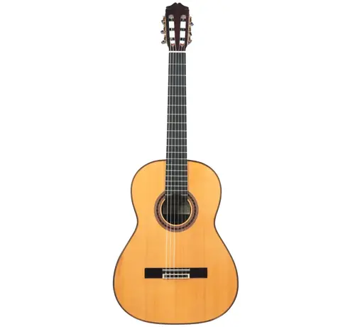 Bautista Bautista Iranzo |  5 Flamenca Negra