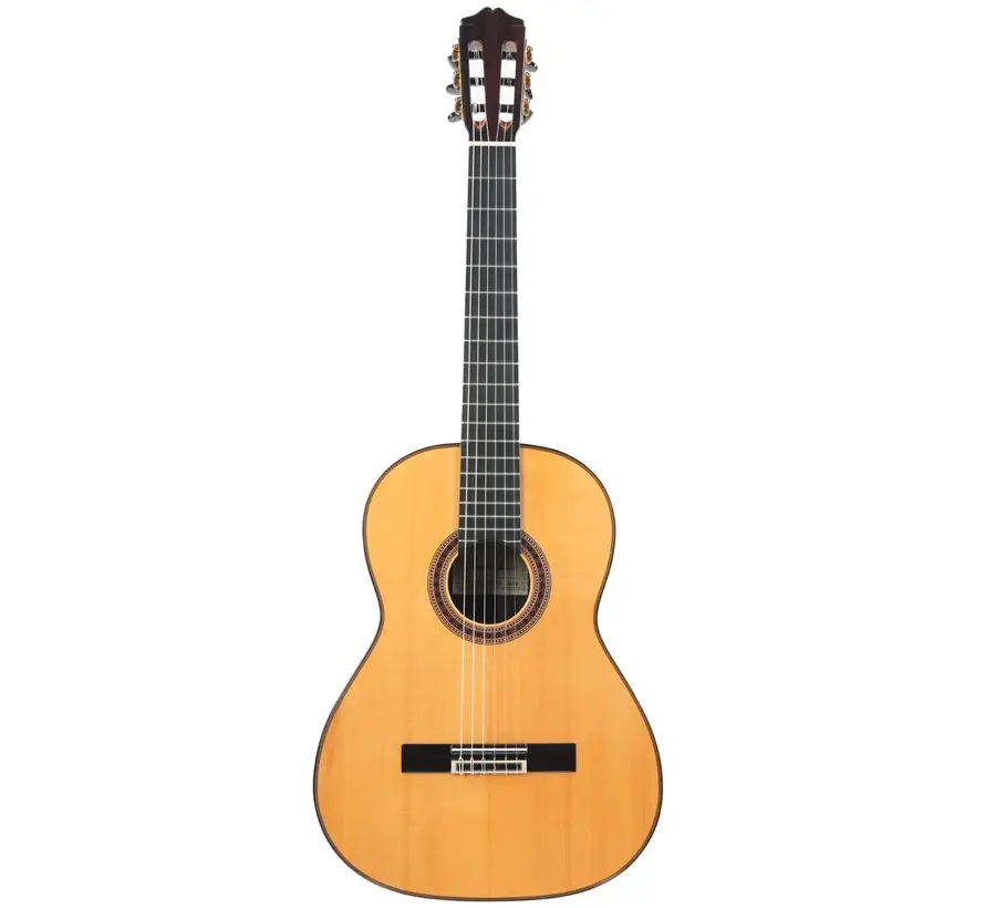 Bautista Iranzo |  5 Flamenca Negra