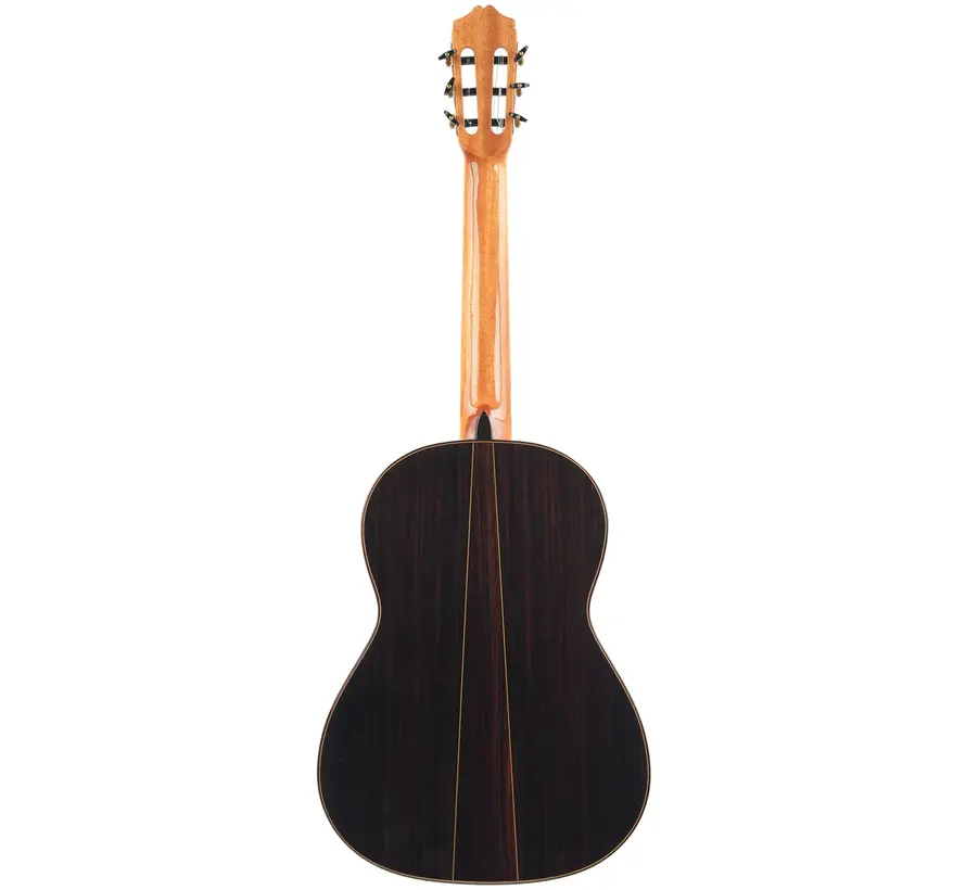 Bautista Iranzo |  5 Flamenca Negra