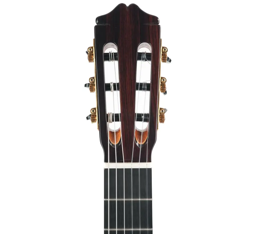 Bautista Iranzo |  5 Flamenca Negra