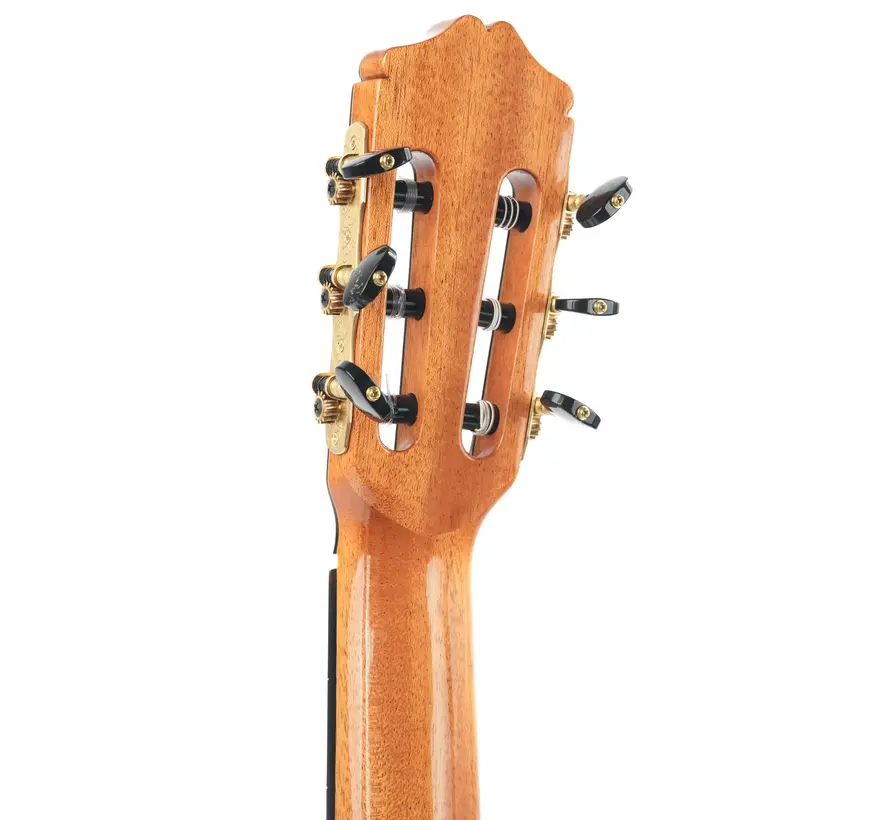 Bautista Iranzo |  5 Flamenca Negra