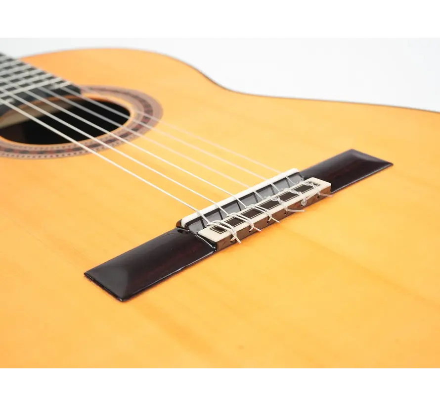 Bautista Iranzo |  5 Flamenca Negra