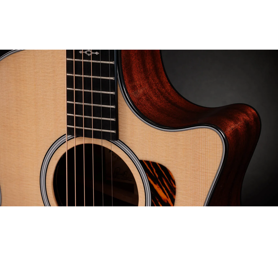 Taylor 314ce Next Generation