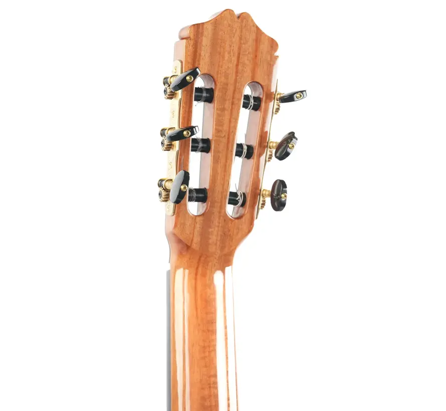 Bautista Iranzo | 20 Concert