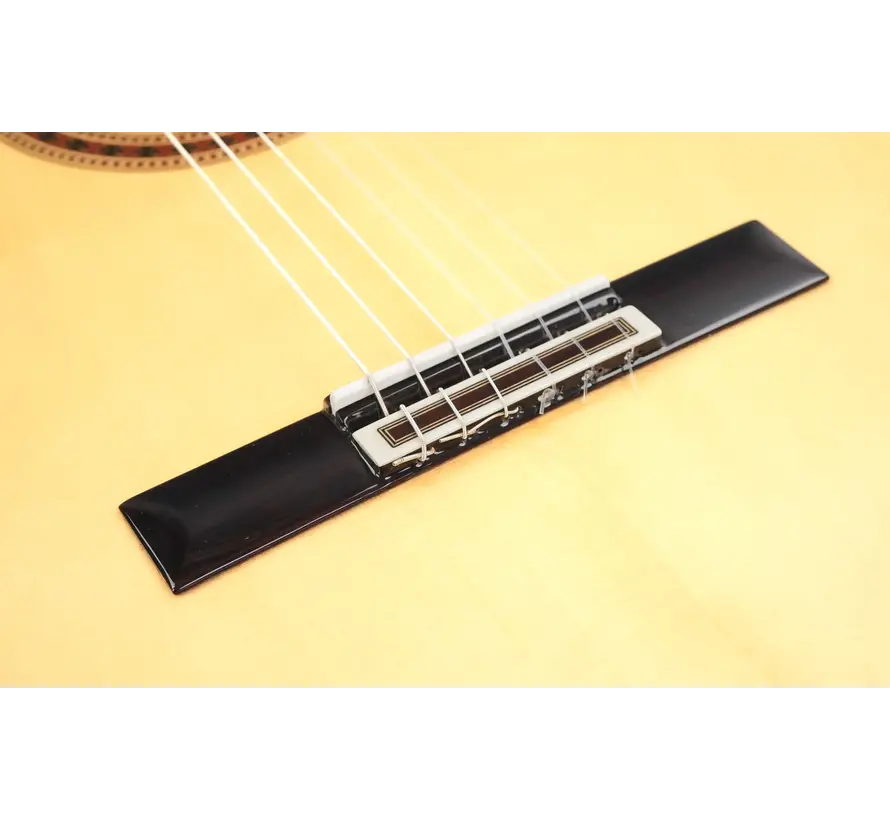 Bautista Iranzo | Concert 40