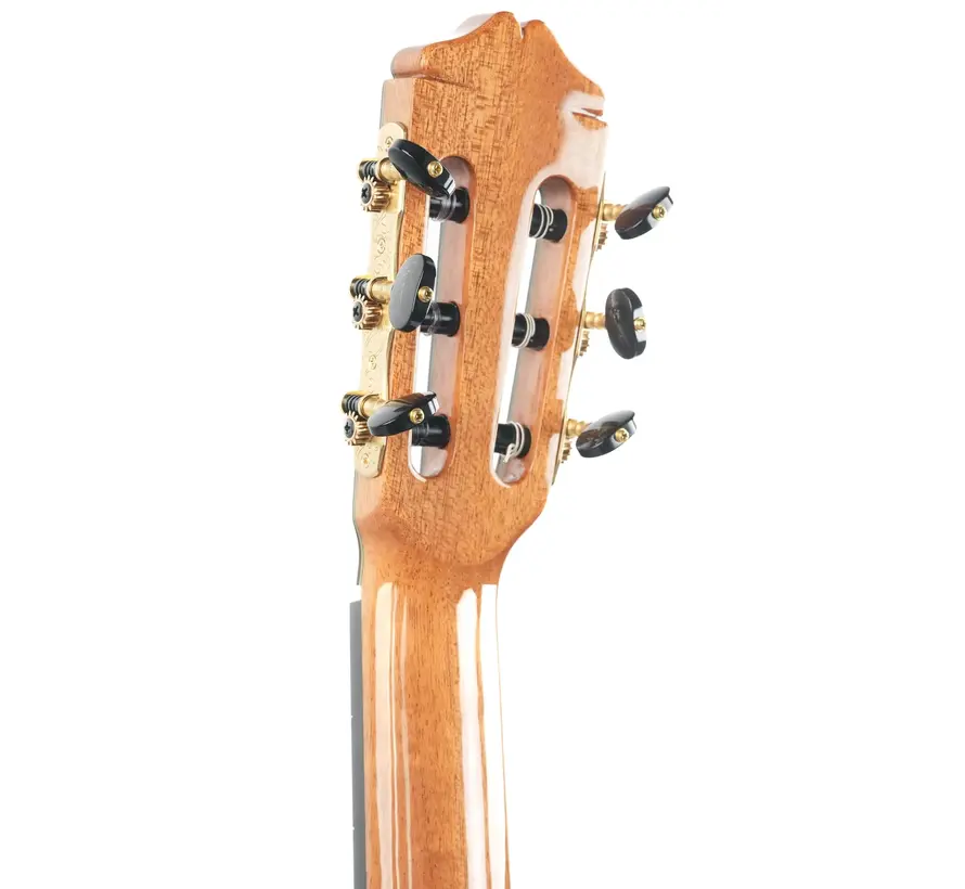 Bautista Iranzo | Concert 40