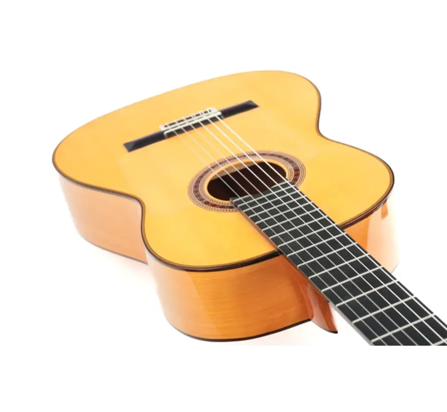 Bautista Iranzo | 25 Flamenco