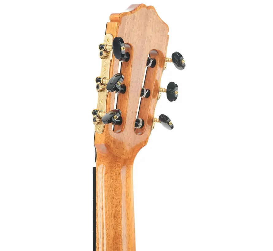 Bautista Iranzo | 25 Flamenco