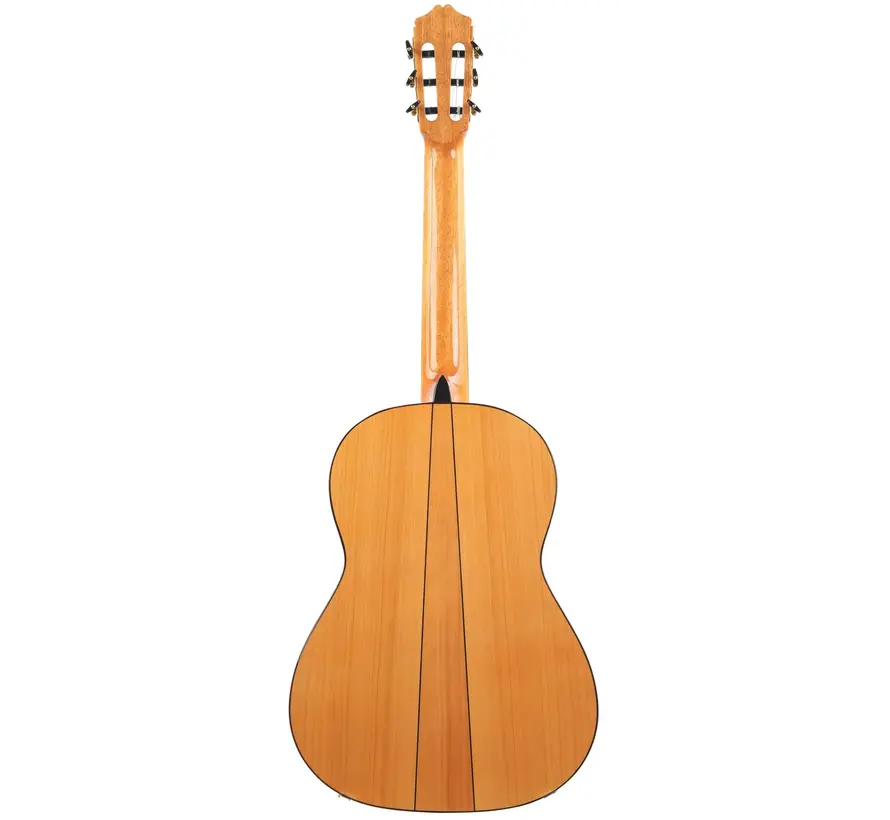 Bautista Iranzo | 25 Flamenco