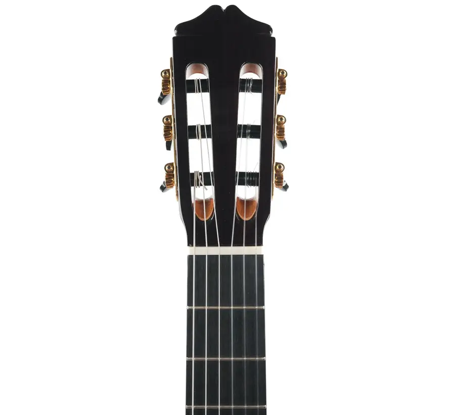 Bautista Iranzo | 25 Flamenco