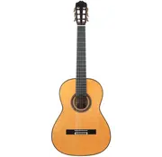 Bautista Bautista Iranzo | 25 Flamenco