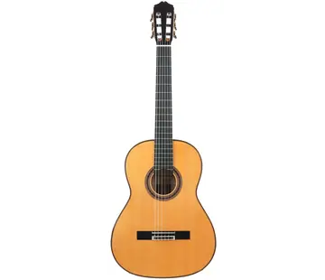 Bautista Bautista Iranzo | 25 Flamenco