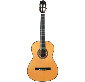 Bautista Bautista Iranzo | 25 Flamenco