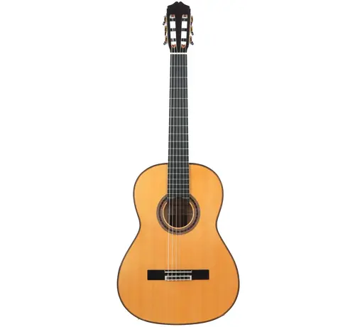 Bautista Bautista Iranzo | 25 Flamenco