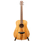 Taylor Bt-Koa
