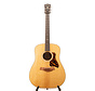 Taylor Gold Label 510e