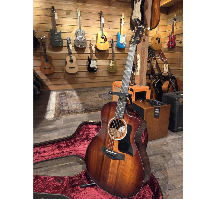 Taylor 222ce-K DLX | Tweedehands