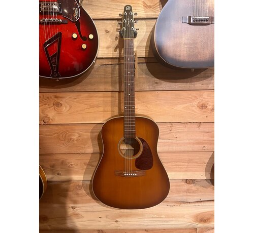 Seagull Entourage Rustic | Tweedehands