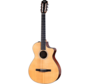 Taylor 212ce-N Plus | Crossover