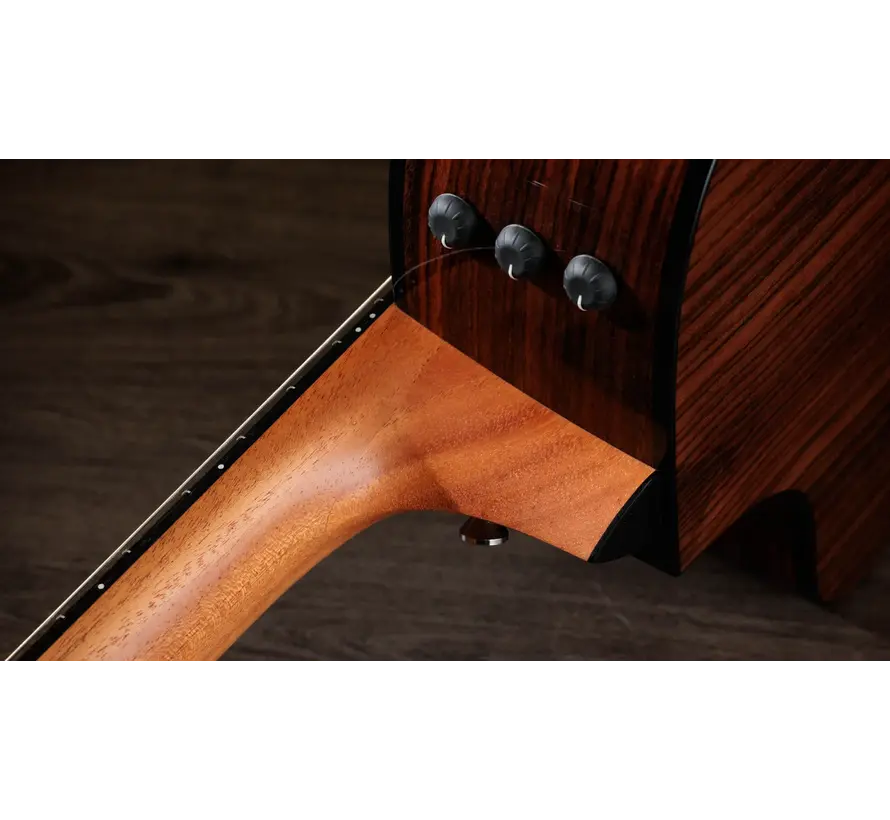 Taylor 212ce-N Plus | Crossover