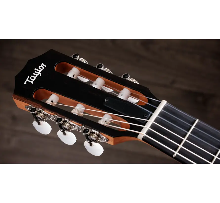 Taylor 212ce-N Plus | Crossover