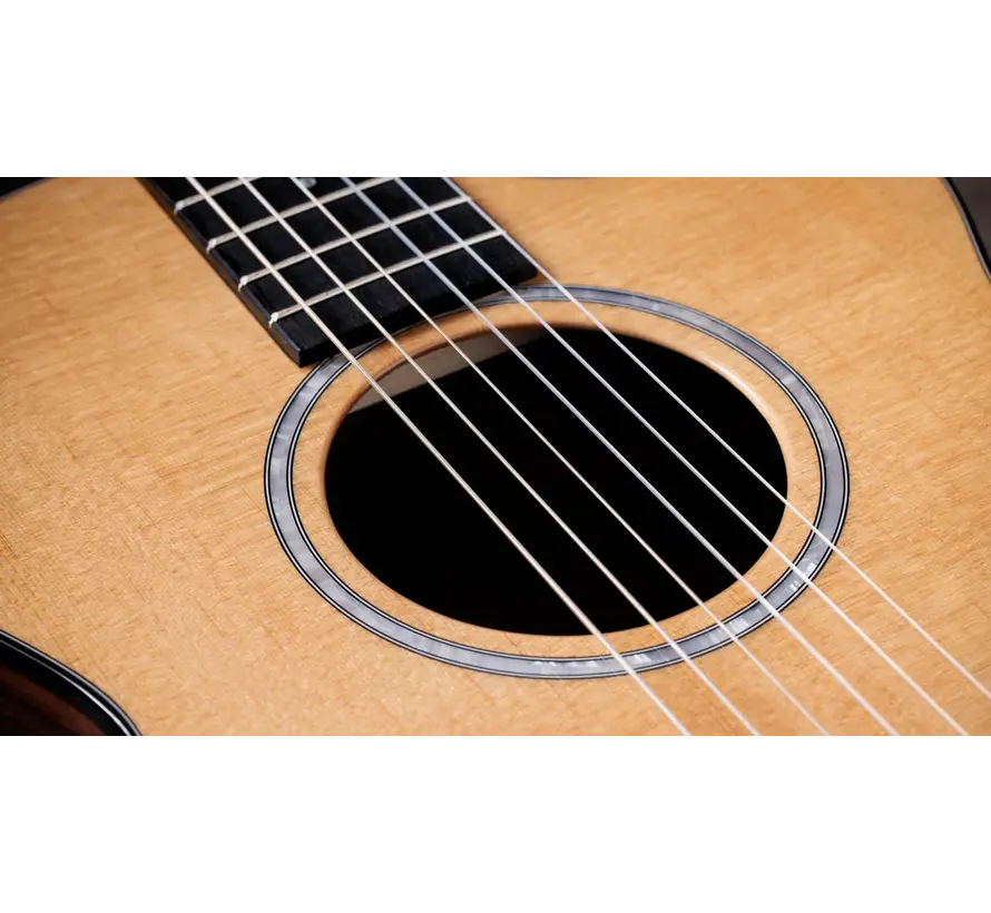 Taylor 212ce-N Plus | Crossover