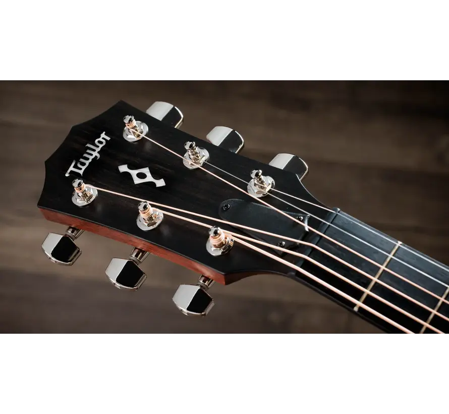 Taylor 312ce Next Generation