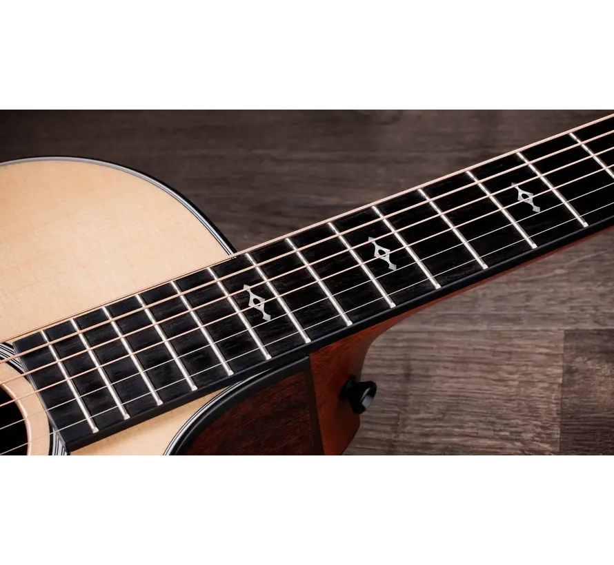 Taylor 312ce Next Generation